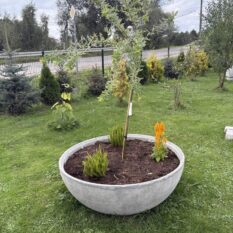 Donica betonowa WIENNA XL (1)