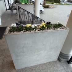 IMG_3423