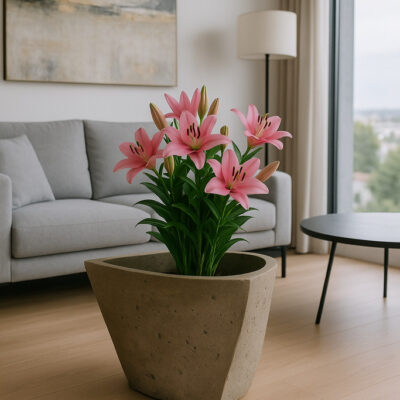 Donica betonowa jako główny element salonu