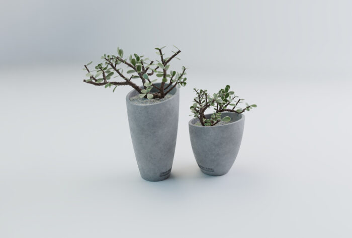 Milano (1) Milano (1)