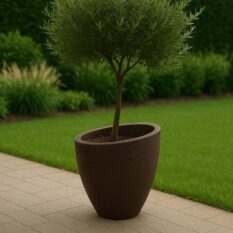 Niska donica Milano (2)