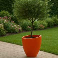 Niska donica Milano (3)