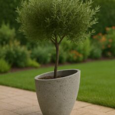 Niska donica Milano (4)