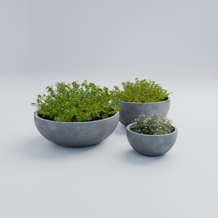 VIENNA M (3) VIENNA M (3)