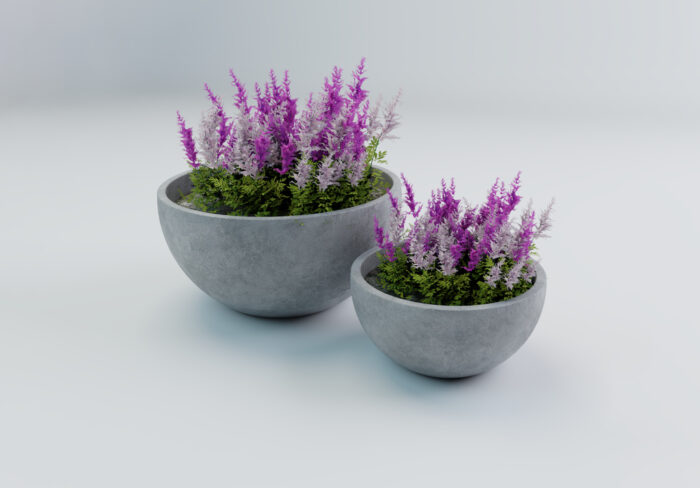 VIENNA M (5) VIENNA M (5)