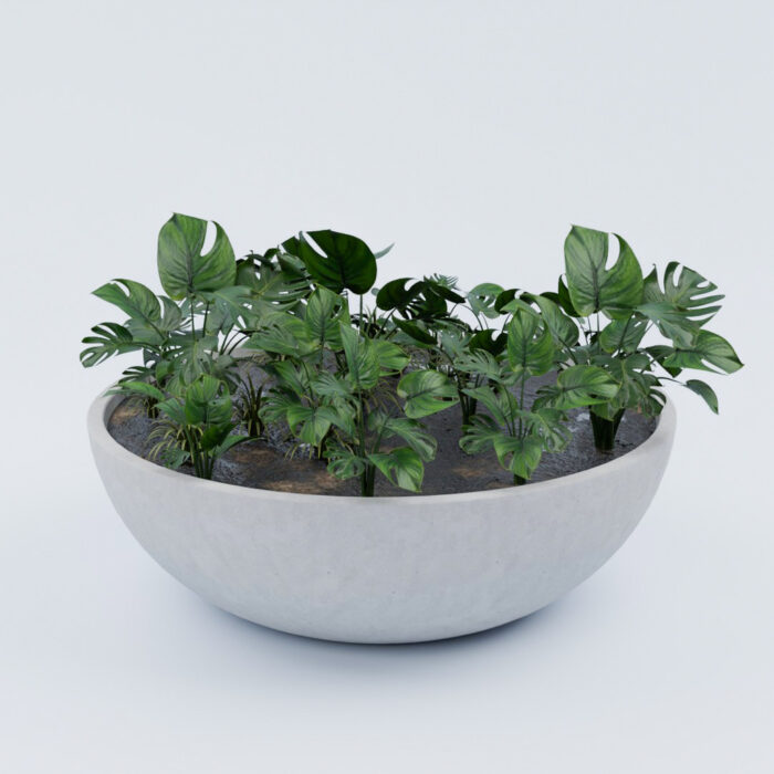 Vienna XL (2) Vienna XL (2)