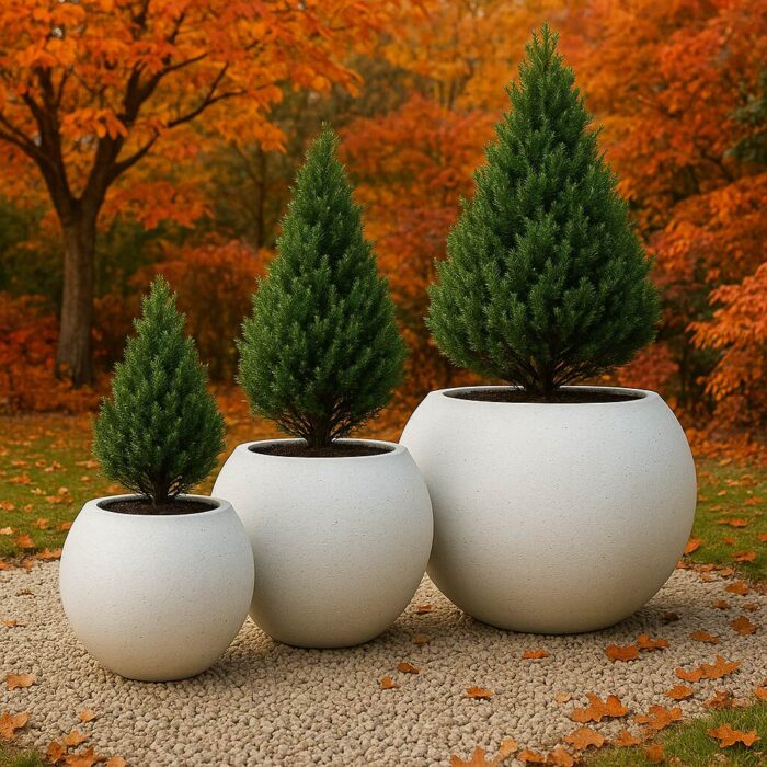 sphers (2) sphers (2)