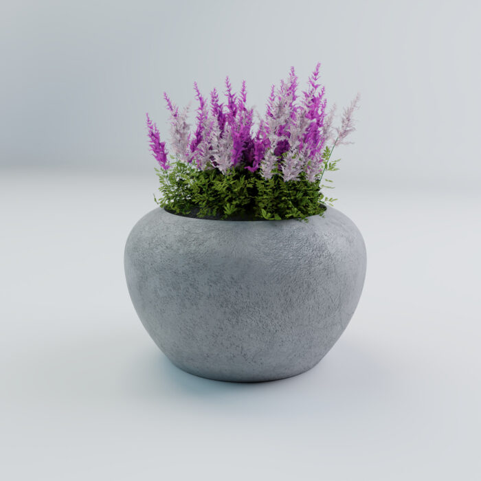 LIMA XL (2) LIMA XL (2)