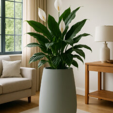 bETONOWA DONICA nAPLES m (5)