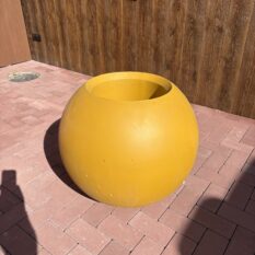 IMG_4611