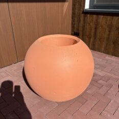 IMG_4612